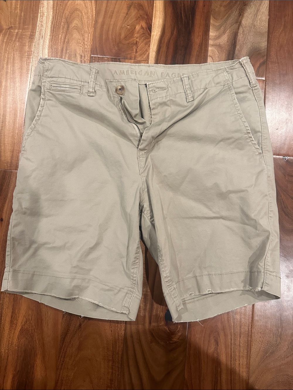 American Eagle Outfitters Men's Flat Front Shorts - Light Tan